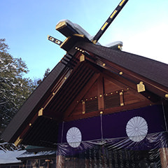 IMG_3742.jpg
